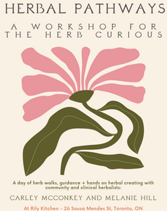 Herbal Pathways: A Workshop for the Herb Curious - Toronto